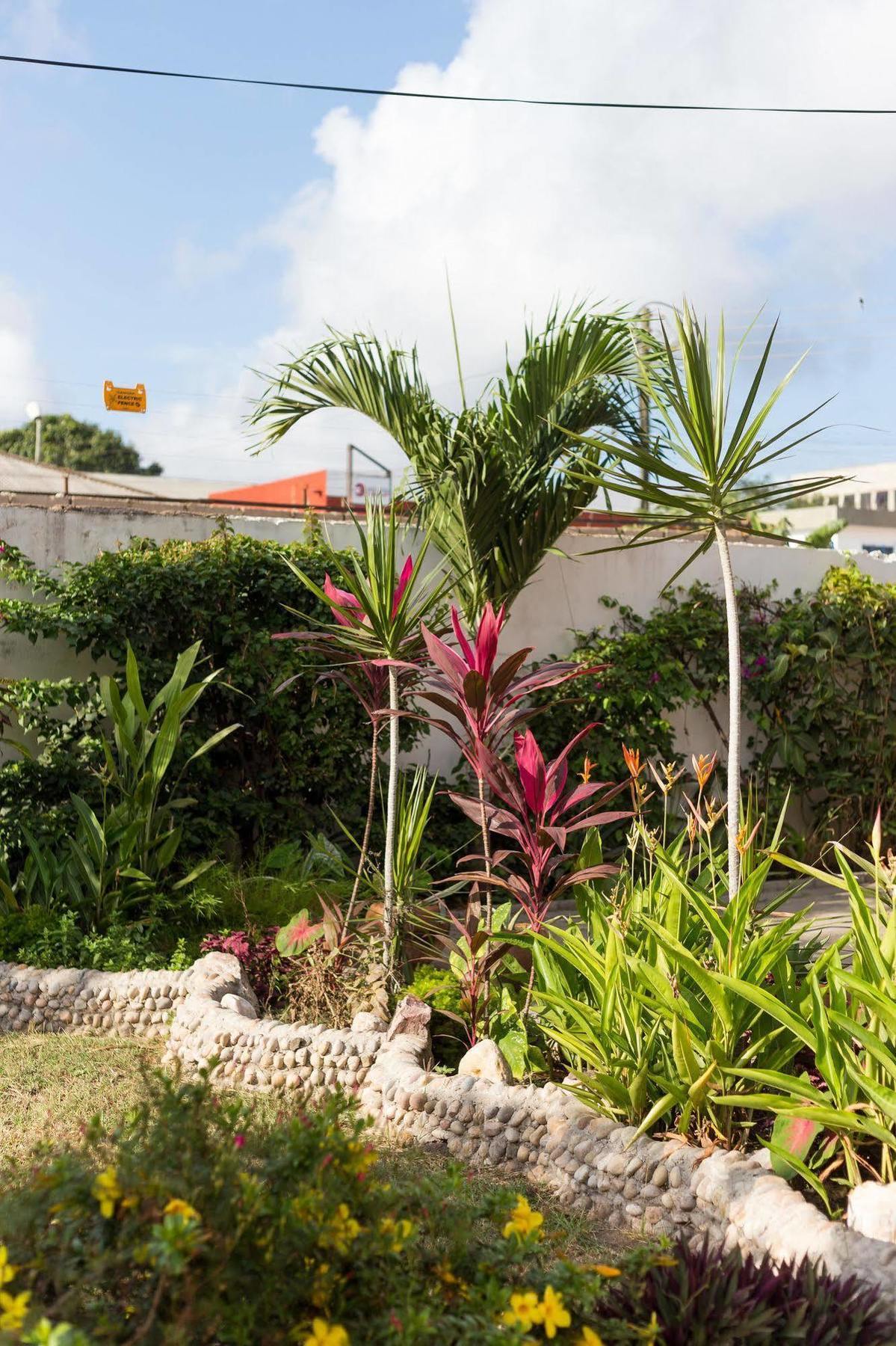 אקרה Agoo Hostel (Adults Only) מראה חיצוני תמונה